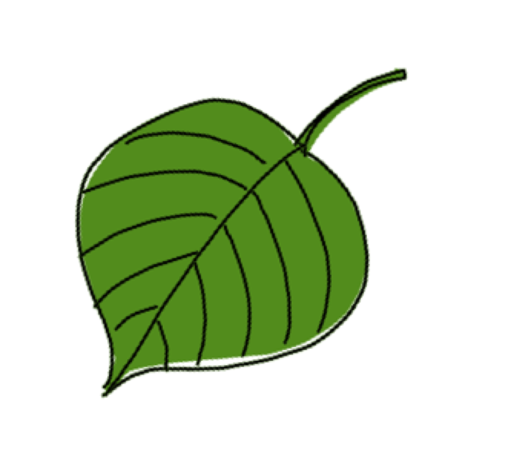 Abogado por el medio ambiente